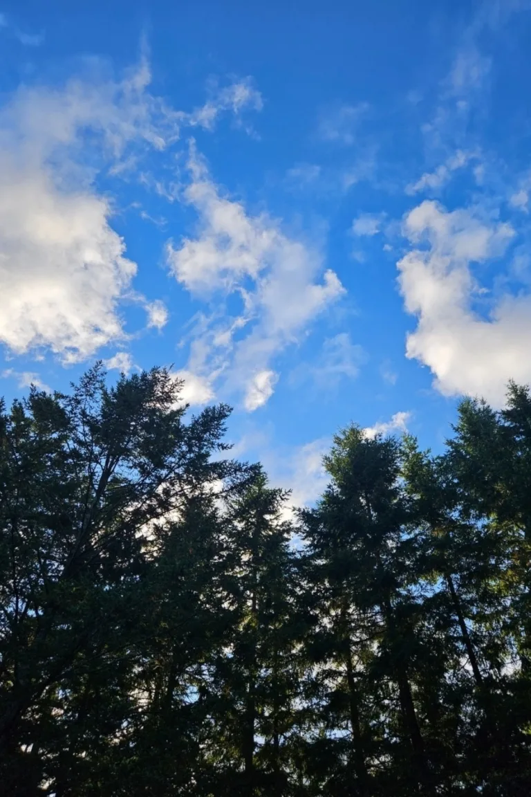 take back control of happiness